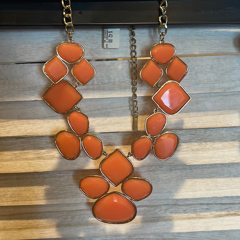New $42 stunning necklace